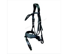 Leather Bridle 